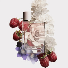 Burberry Her / Ягідна шкірка DoopFragrance