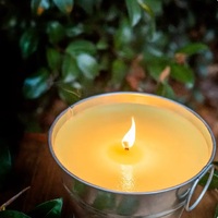 Ароматична олія "Цитронелла" CANDLESCIENCE